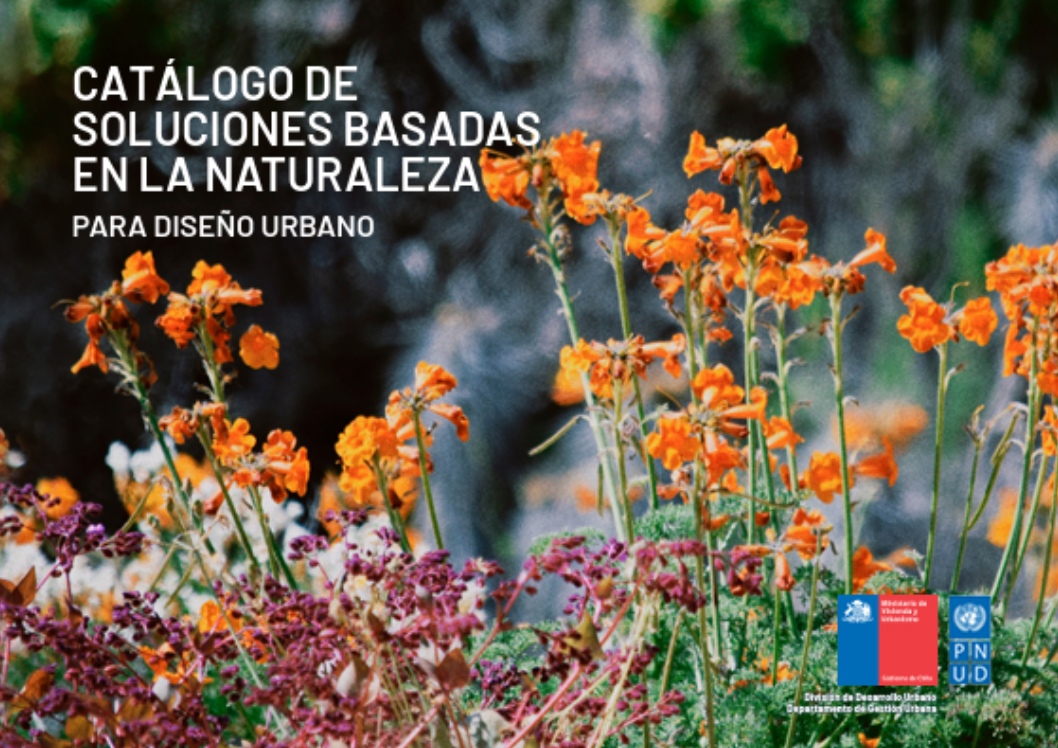 Conoce las últimas publicaciones Minvu